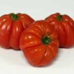 Томат "Ведмежа лапа"