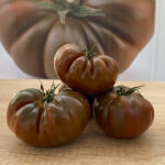 Браун Кой F1 (Brown Coy F1)