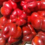 Топепо Россо