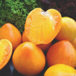 Томат «Серце Ашхабада»