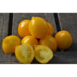 Томати серії «Гібрид Тарасенка»