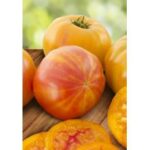 Томат «Загадка природи»