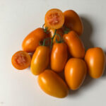 Томат Ремембе F1