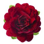 7Примула Балерина Valentine - Зображення 2